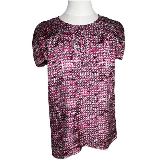 Walter Shirt Size 4 Pink Black Gray Silk Short Sleeve Pleated Corpcore Classic - Picture 1 of 16